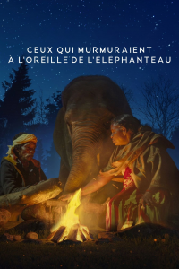 Ceux qui murmuraient à l'oreille de l'éléphanteau streaming