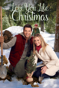 Coup de foudre sous le sapin streaming