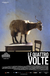 Le quattro volte streaming