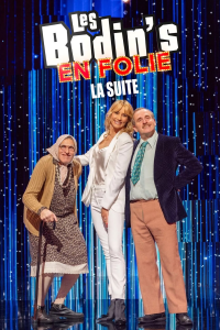 Les Bodin's en folie : la suite streaming