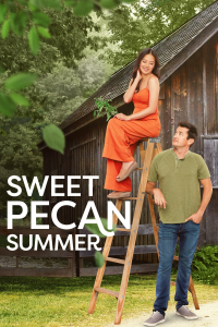 Sous le soleil de Pecan Hill streaming