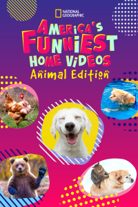 voir America's Funniest Home Videos: Animal Edition Saison 1 en streaming 